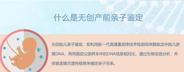 在[酒泉]怀孕几个月如何做DNA亲子鉴定,酒泉产前亲子鉴定大概多少钱