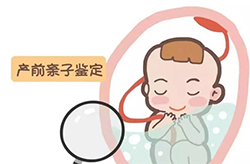 酒泉怀孕十八周怎么做DNA亲子鉴定，酒泉孕期亲子鉴定怎么收费